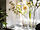 BERÄKNA - vase, clear glass | IKEA Taiwan Online - PE839400_S1