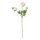 SMYCKA - artificial flower, Ranunculus/white | IKEA Taiwan Online - PE699253_S1