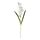 SMYCKA - 人造花, 劍蘭/白色 | IKEA 線上購物 - PE699254_S1