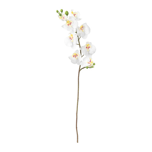 SMYCKA - 人造花, 蘭花/白色 | IKEA 線上購物 - PE699262_S4