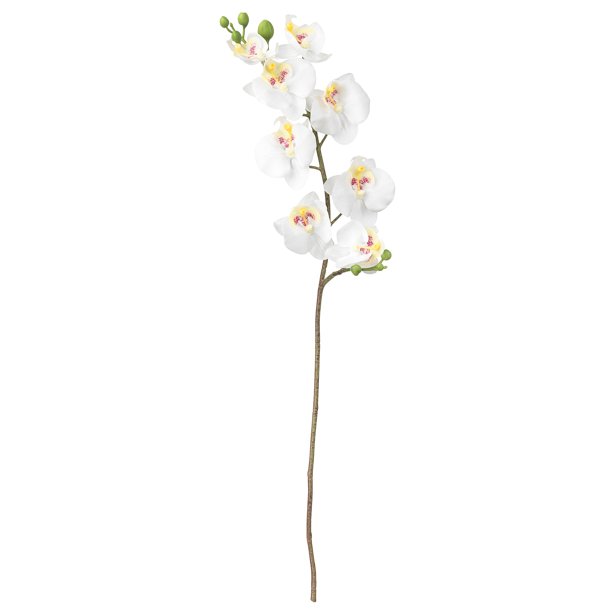 SMYCKA - 人造花, 蘭花/白色, 60 公分| IKEA 線上購物