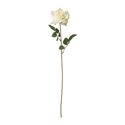 SMYCKA - 人造花, 玫瑰/白色 | IKEA 線上購物 - PE699258_S4