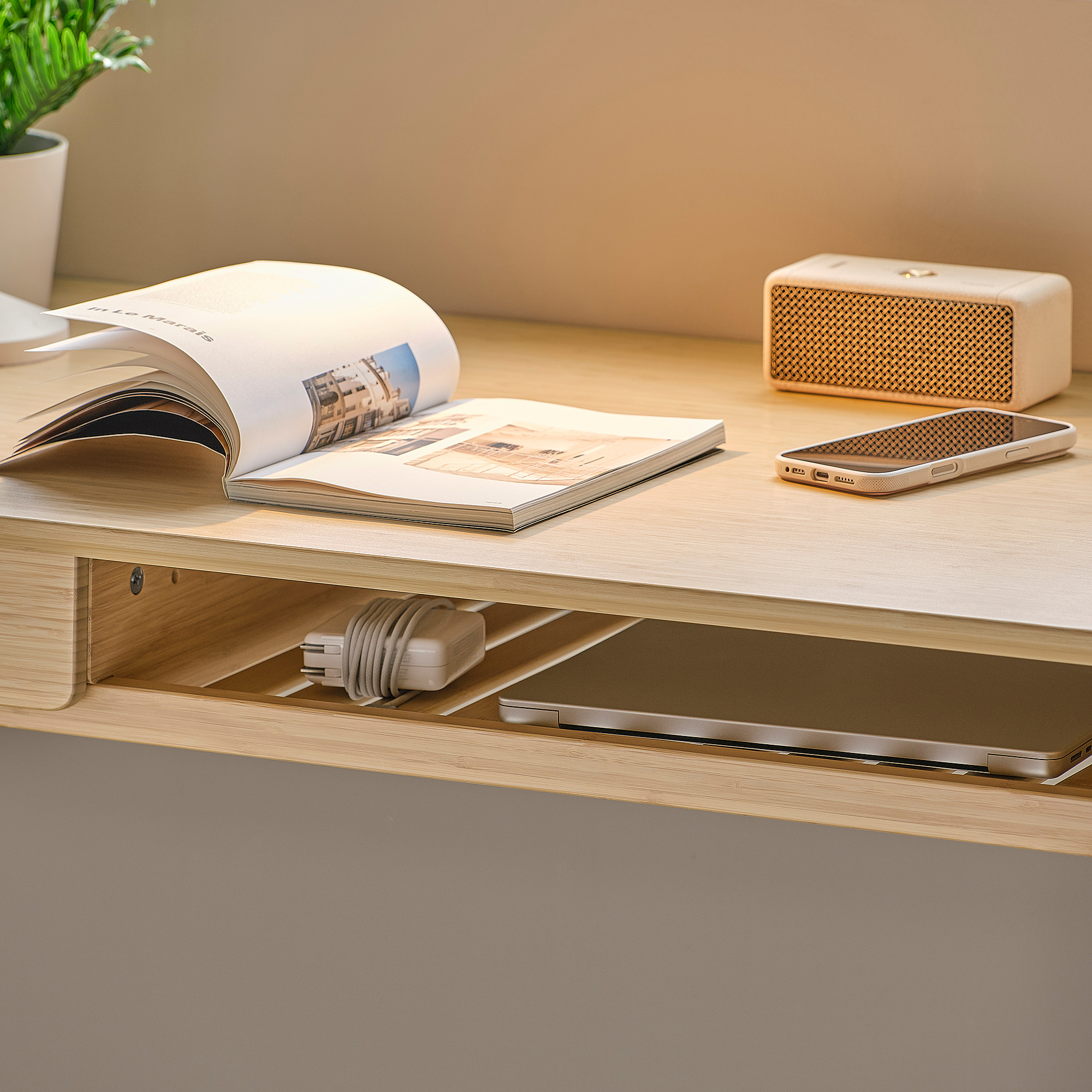 BETESHÄST desk