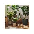 HASSELBUKETT plant pot