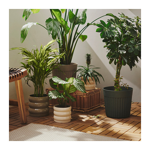 HASSELBUKETT plant pot