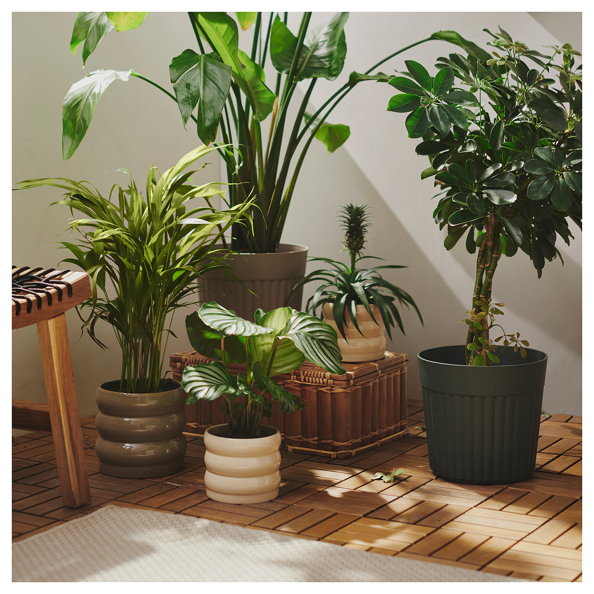 HASSELBUKETT plant pot