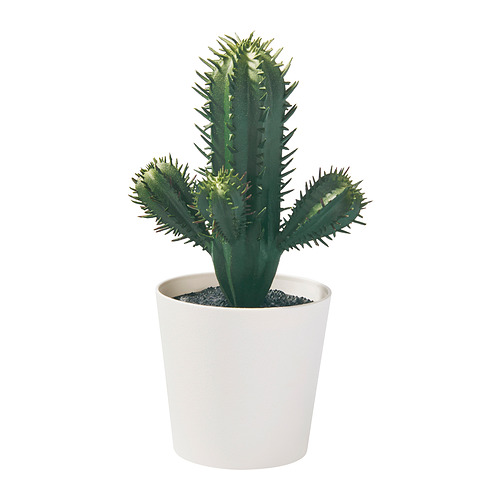 FEJKA - 人造盆栽, 室內/戶外用 仙人掌, 6 公分 | IKEA 線上購物 - PE948961_S4