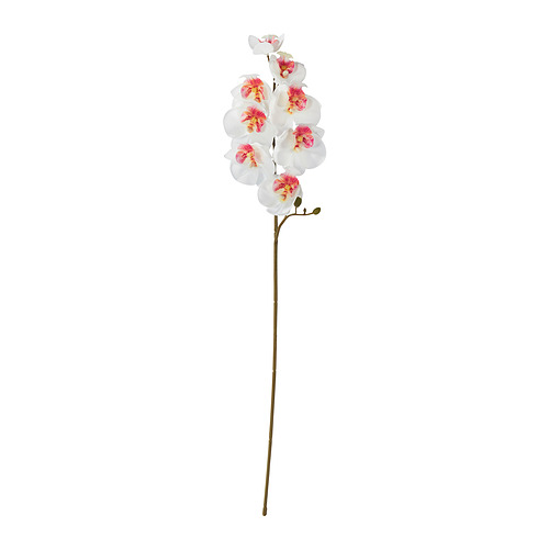 SMYCKA - 人造花, 室內/戶外用/蘭花 白色, 60 公分 | IKEA 線上購物 - PE948971_S4