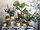 FEJKA - 人造盆栽, 室內/戶外用 書帶木 | IKEA 線上購物 - PE841616_S1
