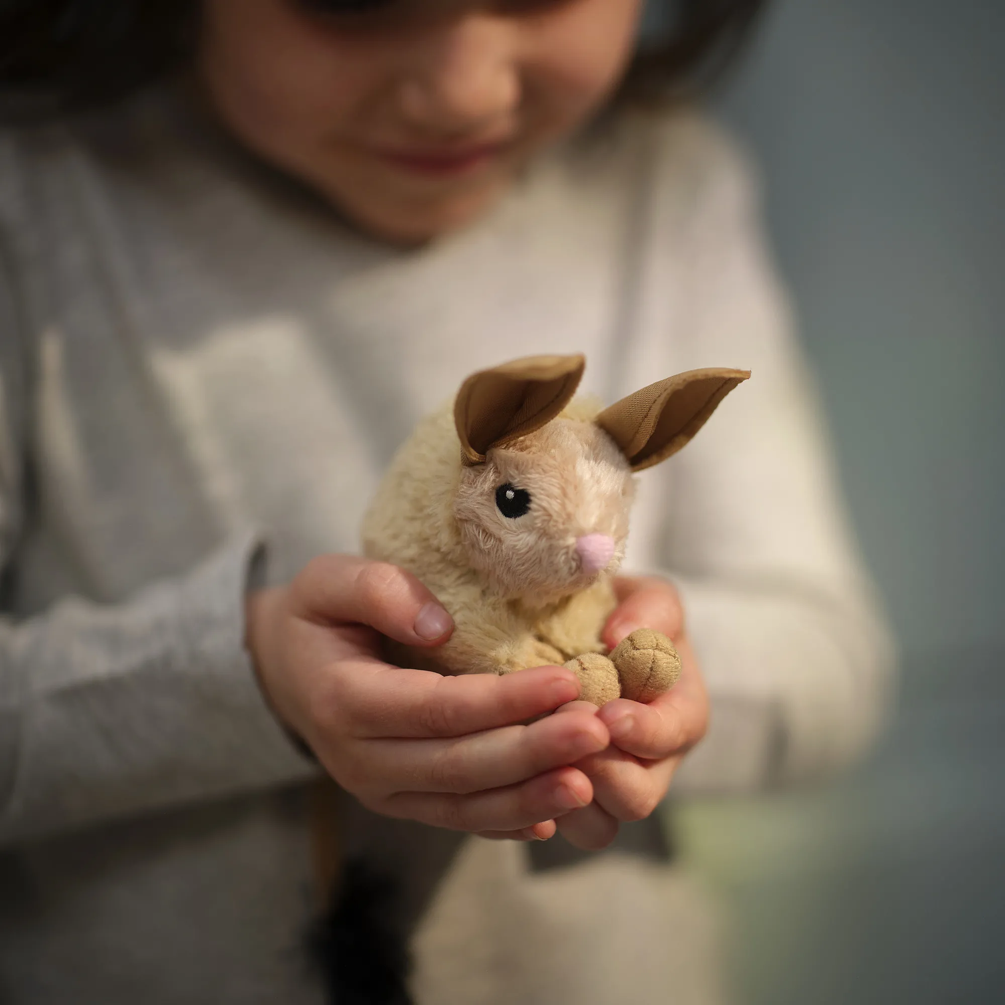 ALPTALL 填充玩具