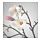 SMYCKA - artificial flower, Magnolia/pink | IKEA Taiwan Online - PE595323_S1