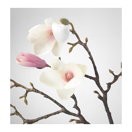 SMYCKA - artificial flower, Magnolia/pink | IKEA Taiwan Online - PE595323_S4