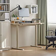 TRAVSPORT/MARKUS desk and chair
