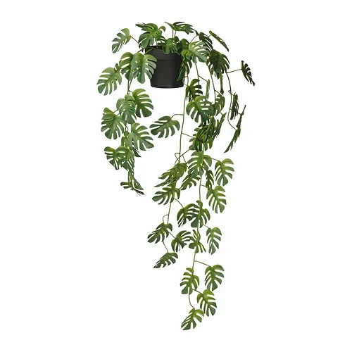 FEJKA - 人造盆栽, 室內/戶外用 眼樹蓮/龜背芋, 9 公分 | IKEA 線上購物 - PE988212_S4