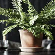 MUSKOTBLOMMA 花盆附底盤
