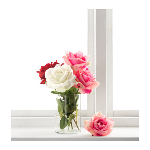 SMYCKA - 人造花, 玫瑰/白色 | IKEA 線上購物 - PE596773_S4