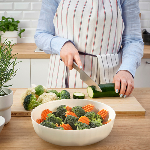FISKTÄRNA oven dish