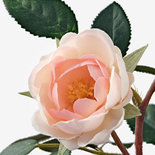 FEJKA - 人造盆栽, 室內/戶外用/迷你玫瑰 粉紅色 | IKEA 線上購物 - PE745053_S4