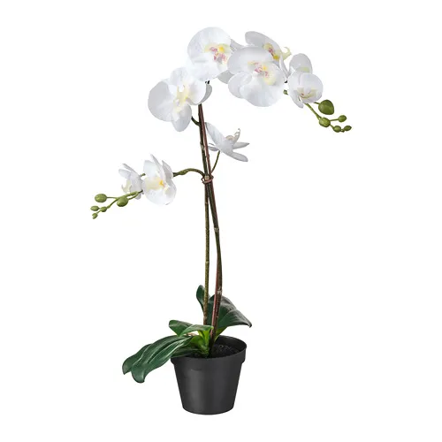 FEJKA - 人造盆栽, 蘭花 白色, 12 公分 | IKEA 線上購物 - PE745269_S4