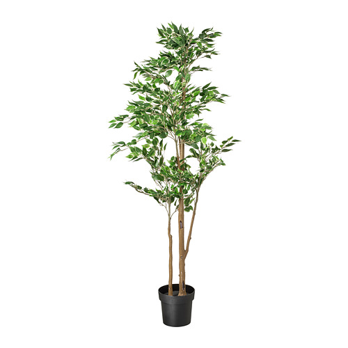 FEJKA - 人造盆栽, 室內/戶外用 Weeping fig, 21 公分 | IKEA 線上購物 - PE745274_S4