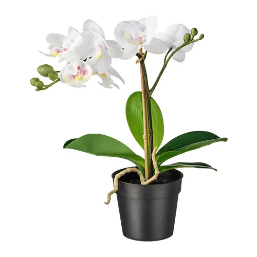 FEJKA - artificial potted plant, Orchid white, 9 cm | IKEA Taiwan Online - PE745276_S4