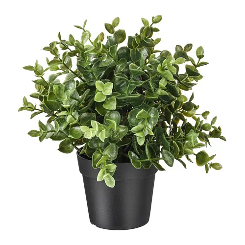 FEJKA - artificial potted plant, oregano, 9 cm | IKEA Taiwan Online - PE745271_S4