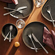PRAKTBOTIA 16-piece cutlery set