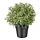 FEJKA - 人造盆栽, 迷迭香 | IKEA 線上購物 - PE745320_S1