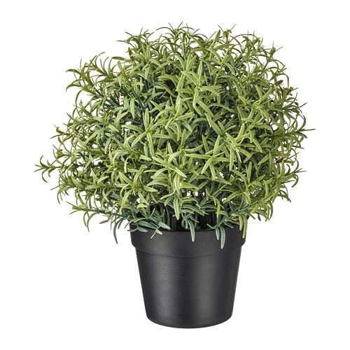 FEJKA - 人造盆栽, 迷迭香 | IKEA 線上購物 - PE745320_S4