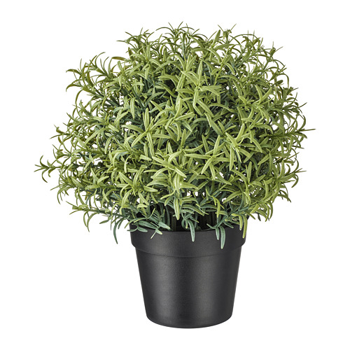 FEJKA - artificial potted plant, Rosemary, 9 cm | IKEA Taiwan Online - PE745320_S4