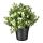 FEJKA - 人造盆栽, 百里香 | IKEA 線上購物 - PE745319_S1