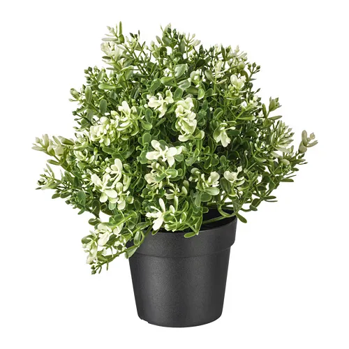 FEJKA - artificial potted plant, thyme, 9 cm | IKEA Taiwan Online - PE745319_S4