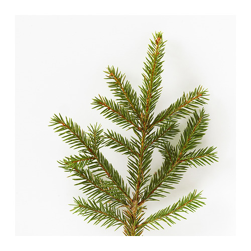 VINTERFINT 香氛杯狀蠟燭