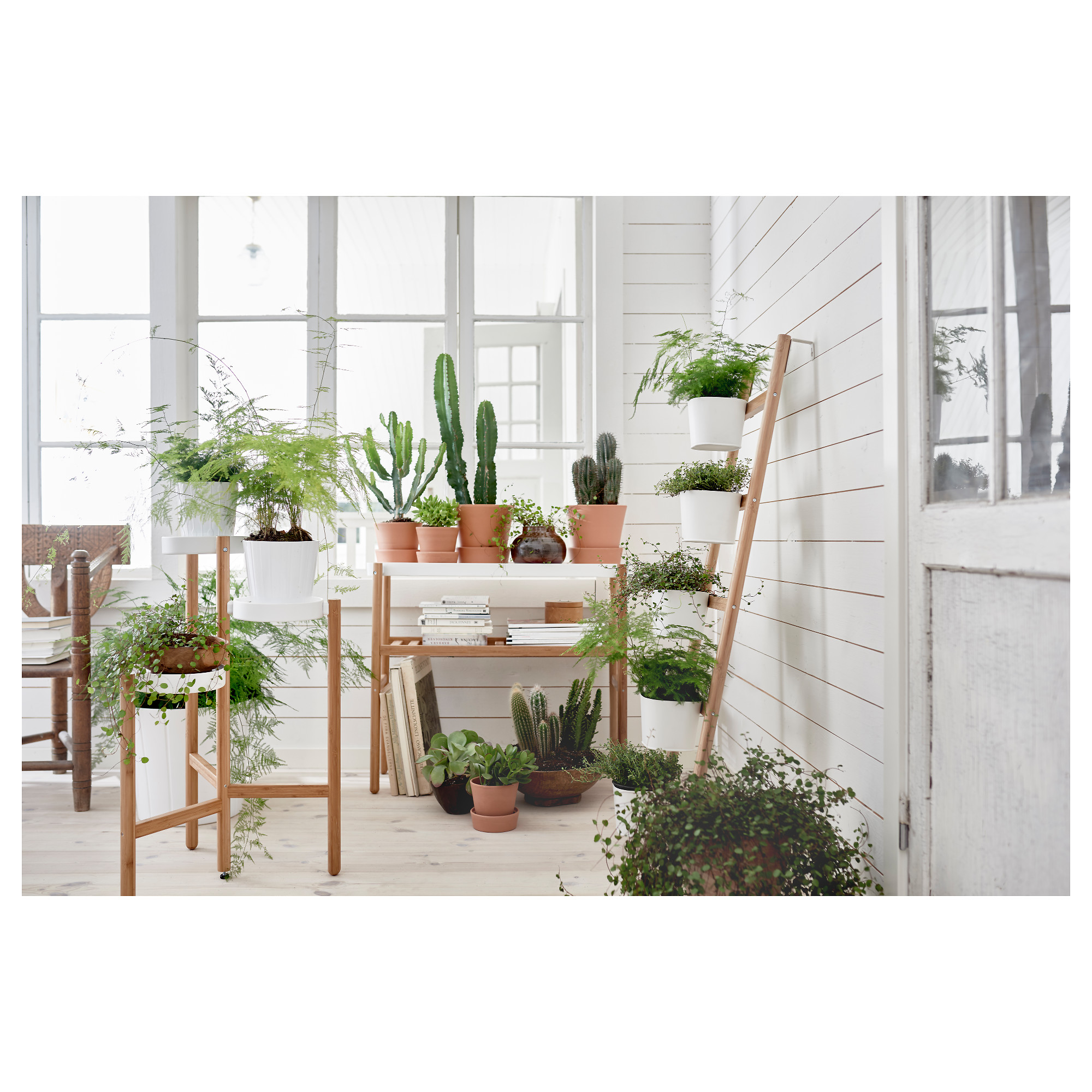 SATSUMAS plant stand