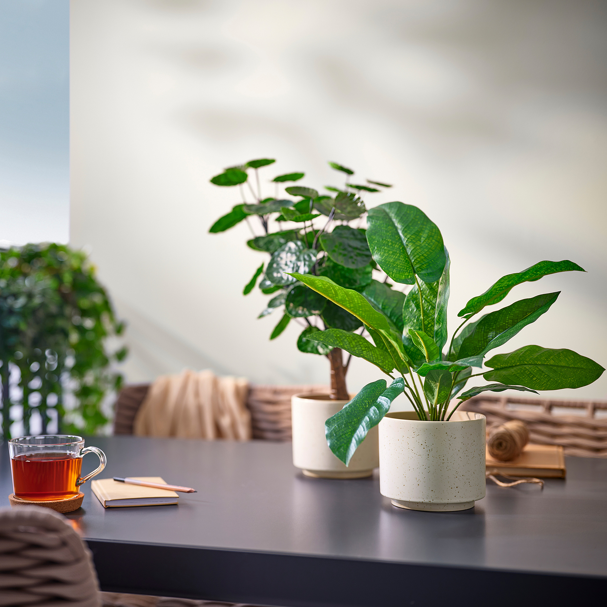 SANDKÖRSBÄR plant pot