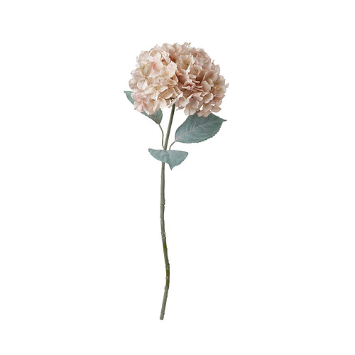 SMYCKA - artificial flower, in/outdoor hydrangea/light beige, 75 cm | IKEA Taiwan Online - E1022388_S4