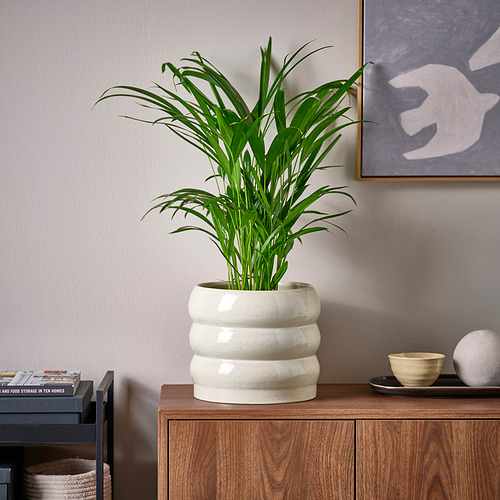 HASSELBUKETT plant pot