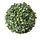 FEJKA - artificial plant, in/outdoor/Box ball shaped | IKEA Taiwan Online - PE708467_S1