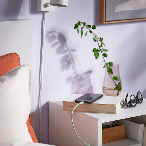 SITTBRUNN USB-C轉USB-C