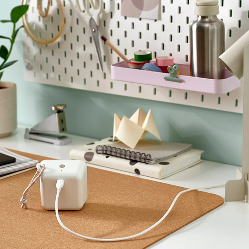 SITTBRUNN USB-C轉USB-C