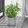 BOYSENBÄR - 花盆底盤, 室內/戶外用 淺灰色 | IKEA 線上購物 - PE804343_S1