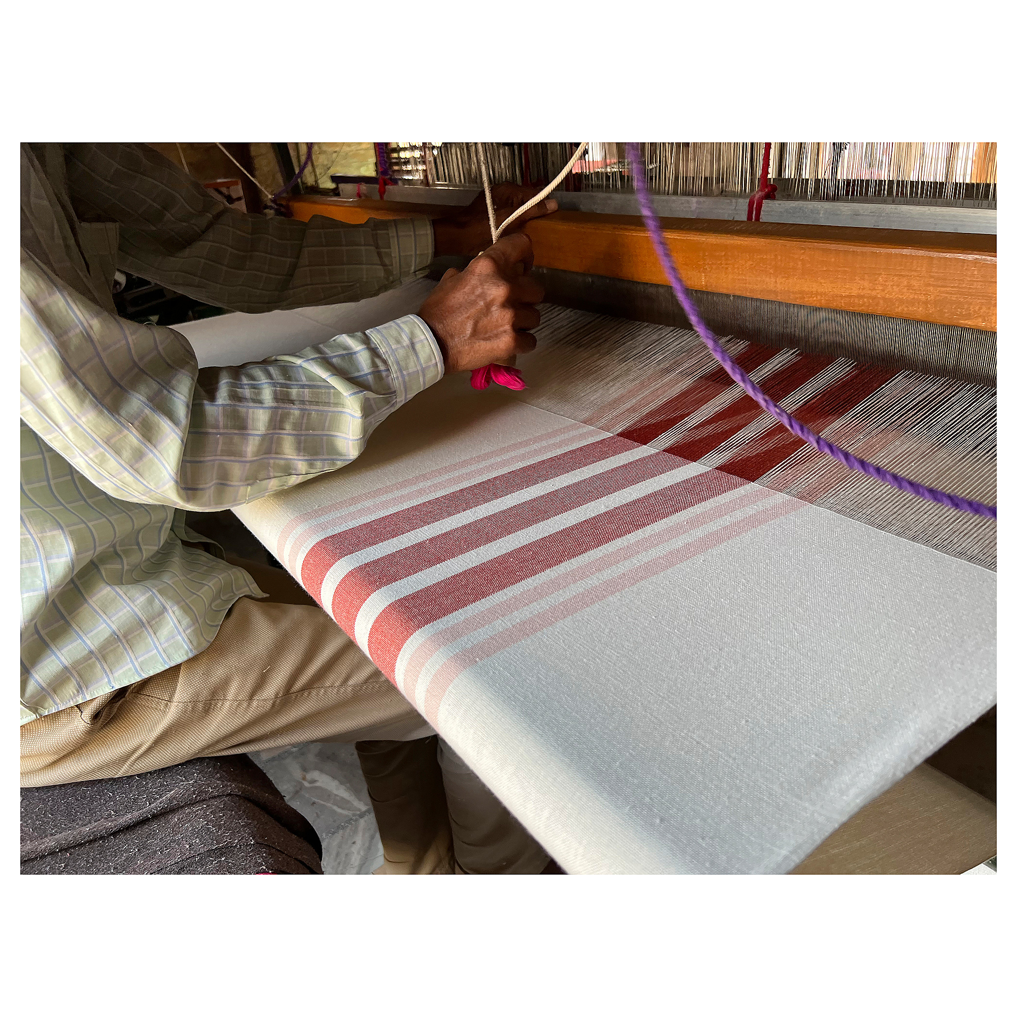VEDMAL cushion cover