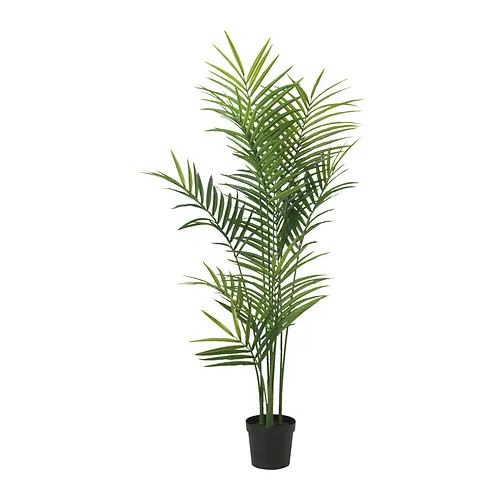 FEJKA - 人造盆栽, 室內/戶外用/Kentia palm, 21 公分 | IKEA 線上購物 - PE886227_S4