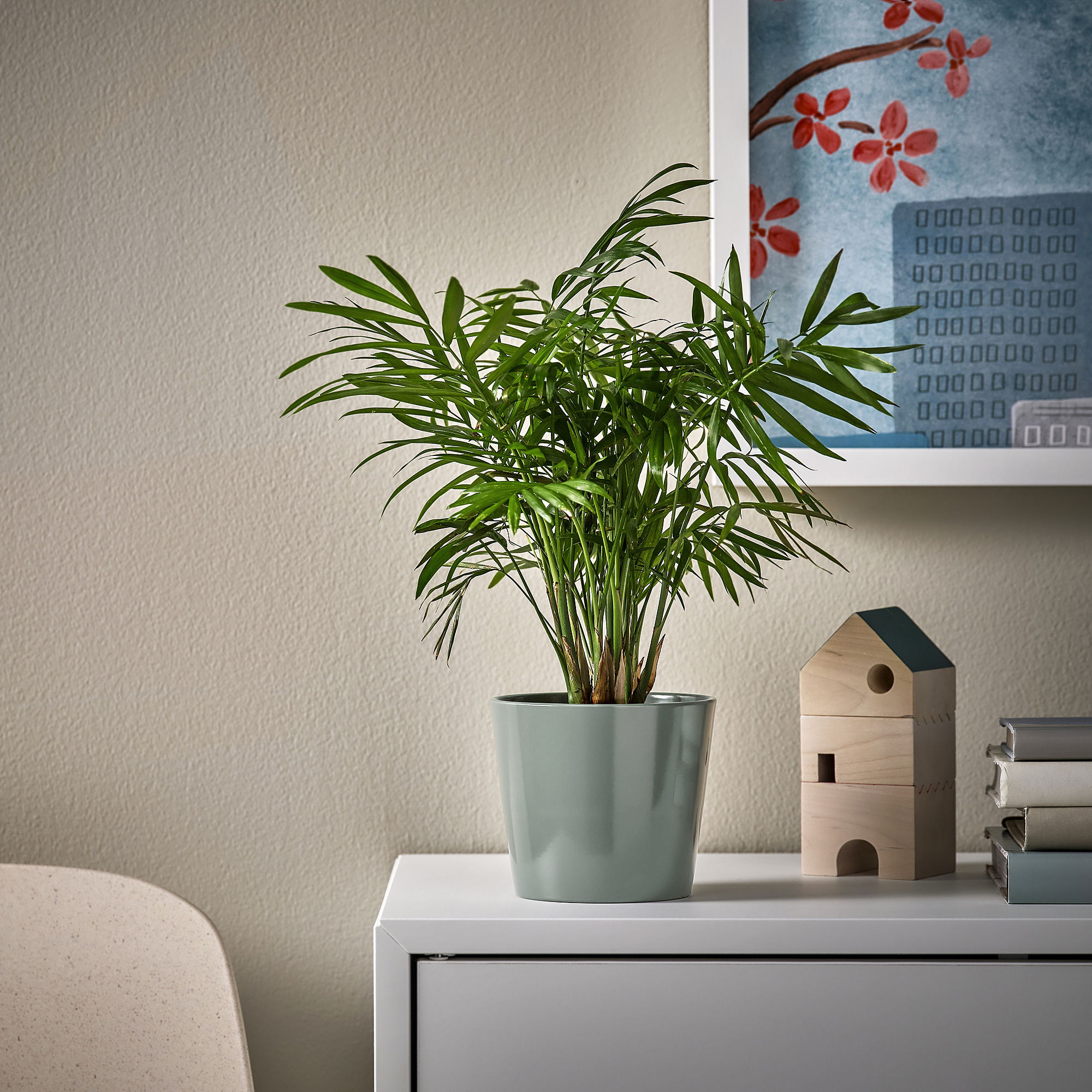 SOJABÖNA plant pot