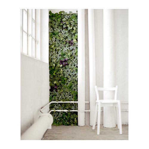 FEJKA - 人造植物, 上牆式/室內/戶外用 綠色/紫色 | IKEA 線上購物 - PE659985_S4