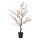 FEJKA - artificial potted plant, in/outdoor/cherry-blossoms pink | IKEA Taiwan Online - PE804176_S1
