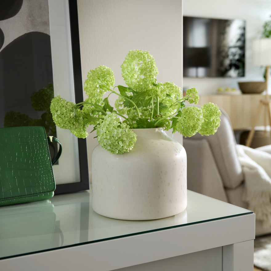 BLODBJÖRK vase