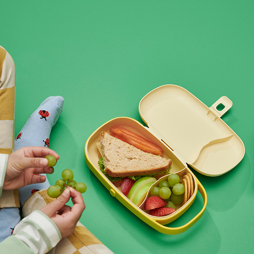 KAPTENSFISK lunch box
