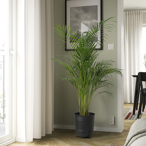 PÄRLRÖNN plant pot
