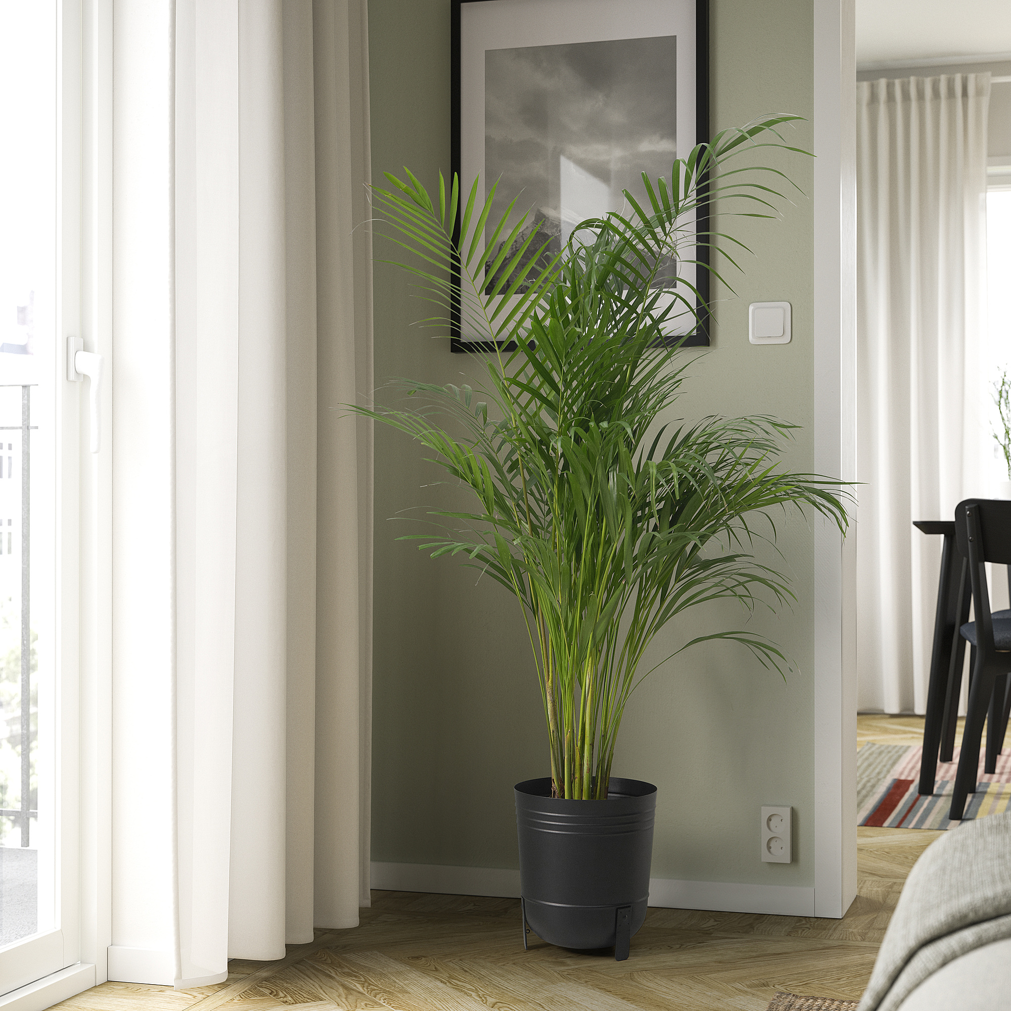 PÄRLRÖNN plant pot